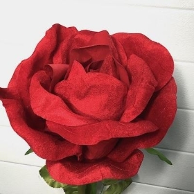 XL Red Velvet Rose 108cm